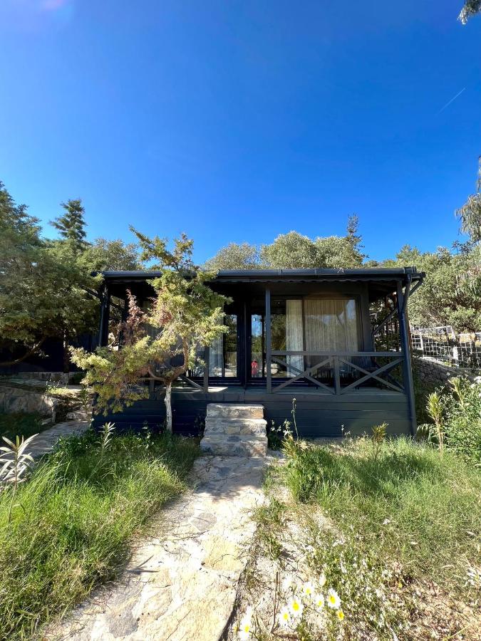 Otel Beyaz Inci Palamutbükü Esterno foto